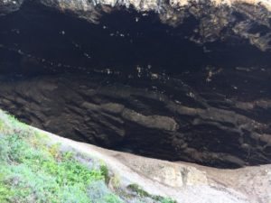 Nelson Bay Cave, inhabited in